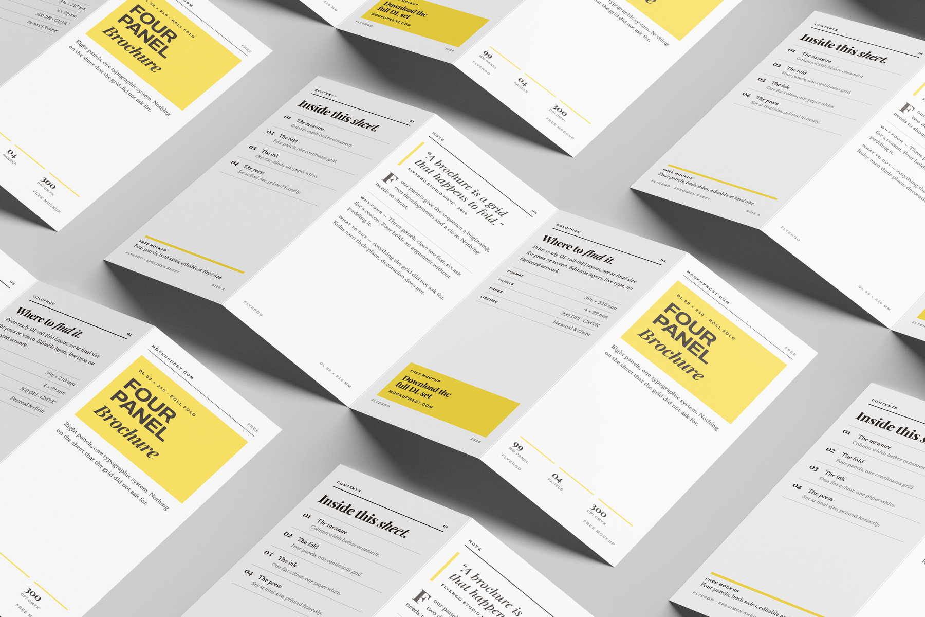 DL Quard Panel Accordion Flyer Mockup | Mockupnest