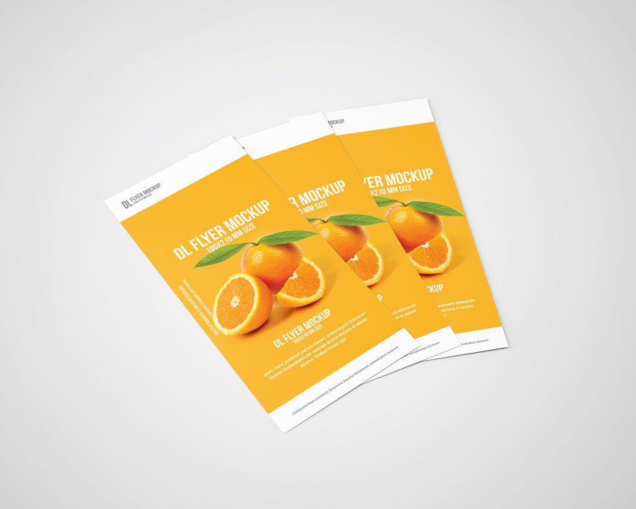 Download DL Flyer Mock-Ups